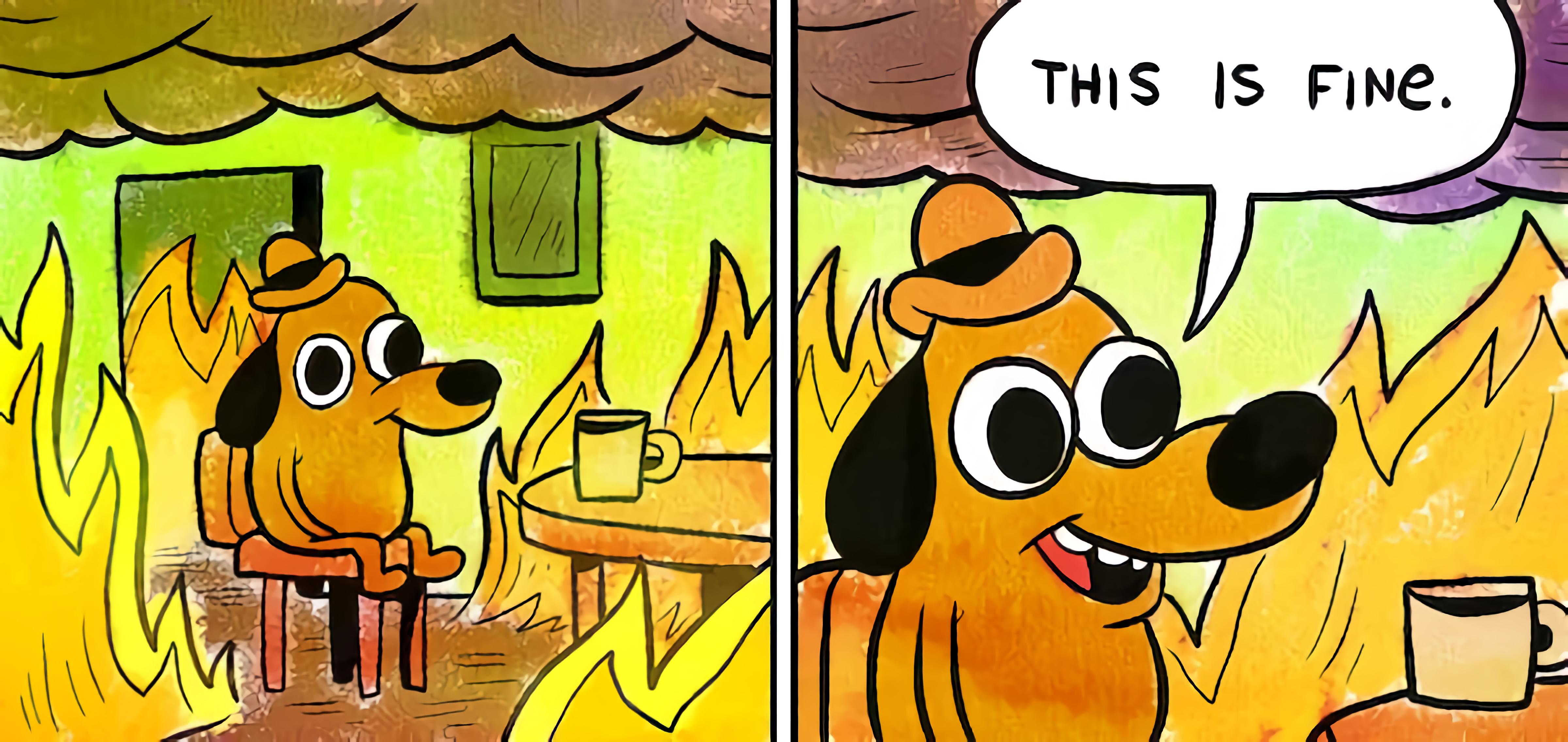 This is fine dog
